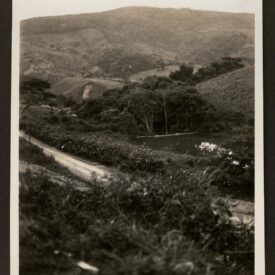 Imagem padrão