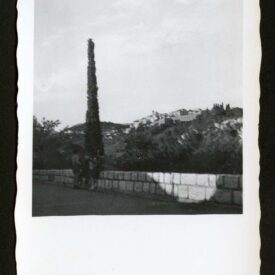 Imagem padrão