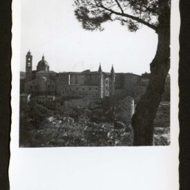 Imagem padrão